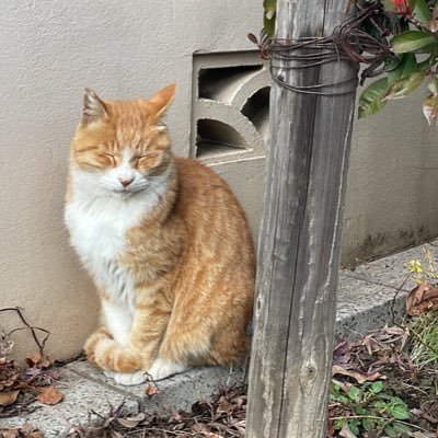 takumia0602's profile picture. 