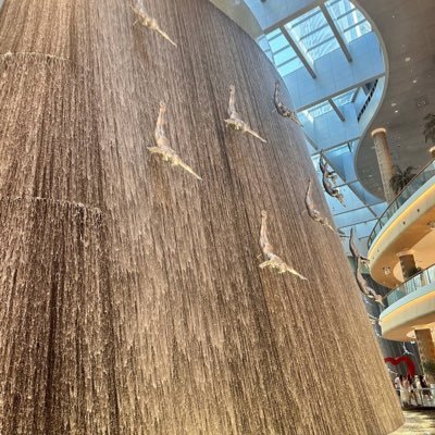 jaygottabigdic's profile picture. 