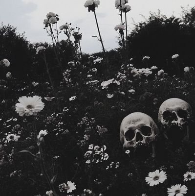 MrShadows120968's profile picture. 