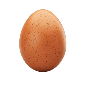 badl_ecom's profile picture. 