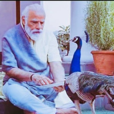 FakeerFake's profile picture. BJPee's Ray Of Hope 🌈