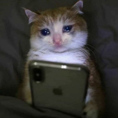 cchxm_'s profile picture. 