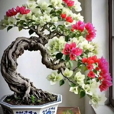 DendaWanara's profile picture. 🤔🤔🤔