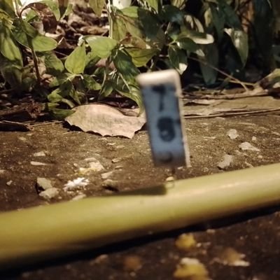 heetee005's profile picture. สาธุสาธุ