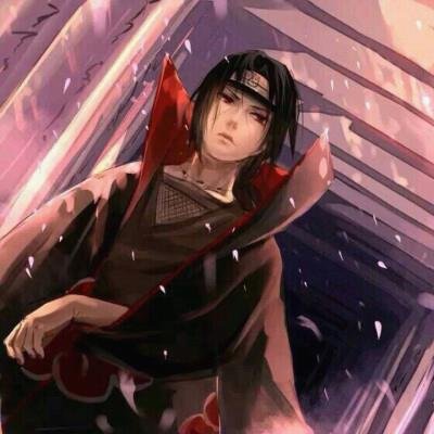 wferlove's profile picture. If you want to fly, you have to let go of the things that weigh you down