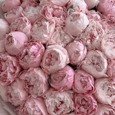 Sofiya_Resh's profile picture. 