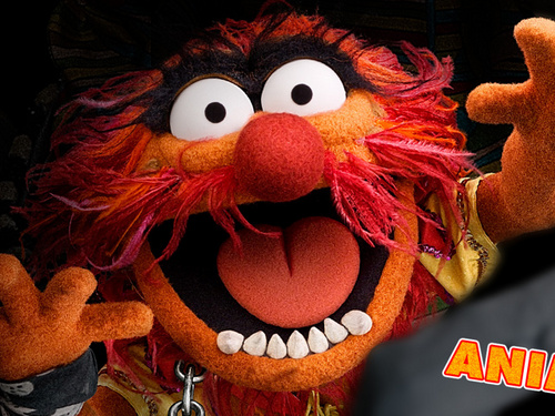 katian8's profile picture. motorsport fanatic