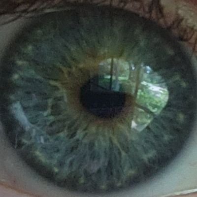 IHateNons's profile picture. Give Hate a Chance