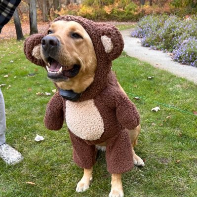 JeffPetterson4's profile picture. husband, father to two fantastic kids,Outdoor enthusiast, really amateur bee keeper, maple syrup-er, MSU alum, basketball junkie, All things northern Michigan.