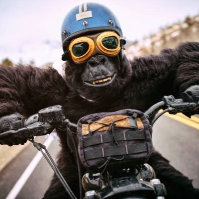 CultBillio47763's profile picture. Cult Finder | ΔLPHΔ

Deliberate Creator - Let's Connect  - NO SLEEP TEAM 

Team:  @SOuLKeysCult @mort_coin