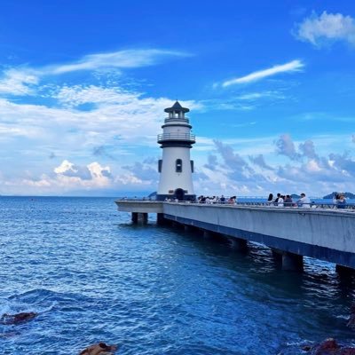 busycat2100's profile picture. you only live once