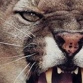 divasonia__'s profile picture. Domainer Pro ✨🤗