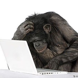 leoolimdo's profile picture. lindo, bonito e cheroso🏳️‍⚧️