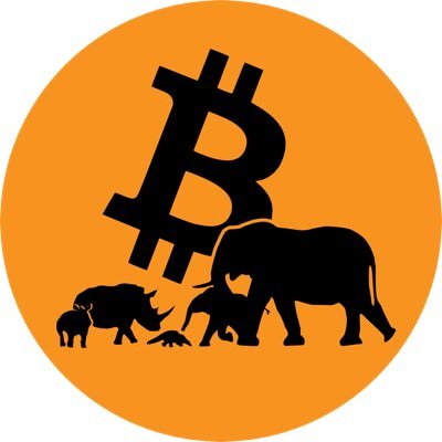BitcoinITWild's profile picture. Driving conservation with Bitcoin: protecting wildlife, advancing education, and empowering communities sustainably. LNaddress⚡️ donate@izindlovu.org