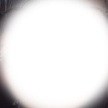 mao3776207's profile picture. おしがましてます♀