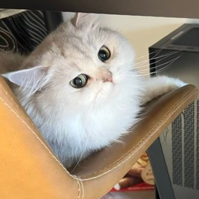 Roryx113459's profile picture. 