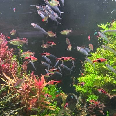 h320563702's profile picture. 