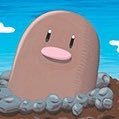 NotDiglettFacc's profile picture. Diglett (AroAce + Nonbinary)… MINOR!!! @Numbr1RatedMole personal acc
