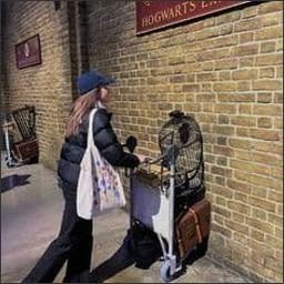 vhegcl82492's profile picture. 