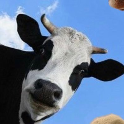 Clover331851's profile picture. To Infinity and Beyond💫