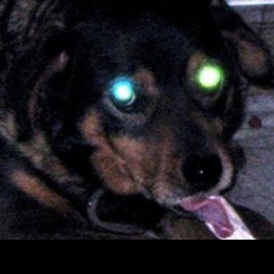 BagmanCFO's profile picture. Having fun and enjoying X