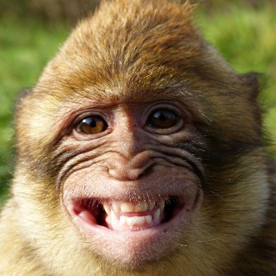 big_robot2's profile picture. big_robot2