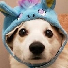 6xory_'s profile picture. 