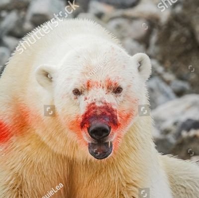 Redoubt_Ranch's profile picture. Die First, Then Quit. 
Moderation Is For Cowards
🇨🇦