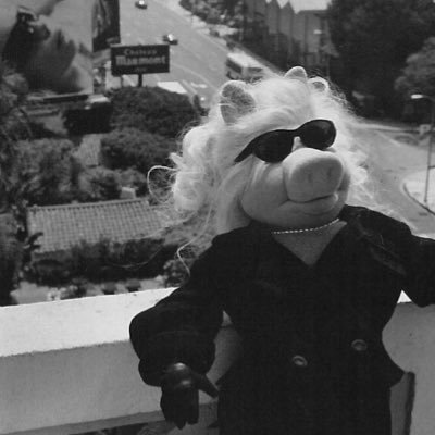 emoly_tomchak's profile picture. dangerously unstable and a profane rat-bastard