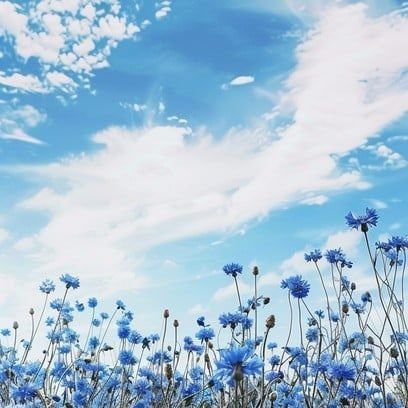 juiceman_marty's profile picture. CEO of Epo | There's always an easy way out