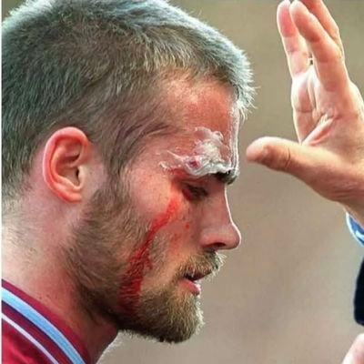 ArachnidDroves's profile picture. PhD survivor. Villa fan. Don't care for Twitter very much.