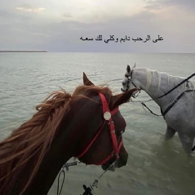 thirstyAdo's profile picture. متفاعل بالثواني ضيفني اضيفك