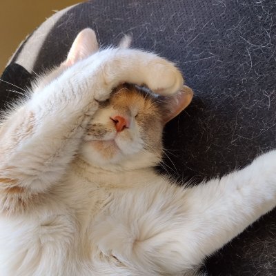 PMArbouw's profile picture. 