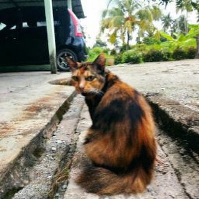 pocom391782's profile picture. 