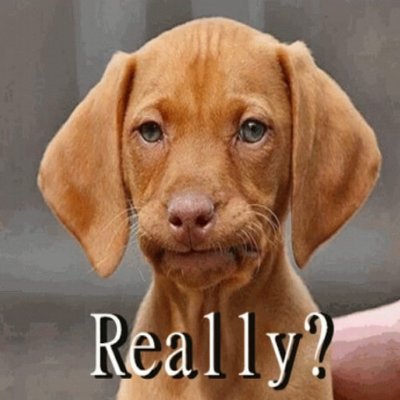 Skullkrusher950's profile picture. 