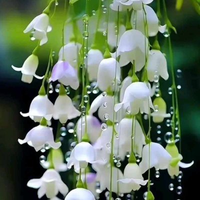 LilyDavallee's profile picture. 20yo ~ uni student ~ travel & fashion ♡