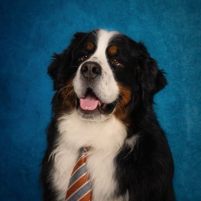 accuracy_maker's profile picture. 