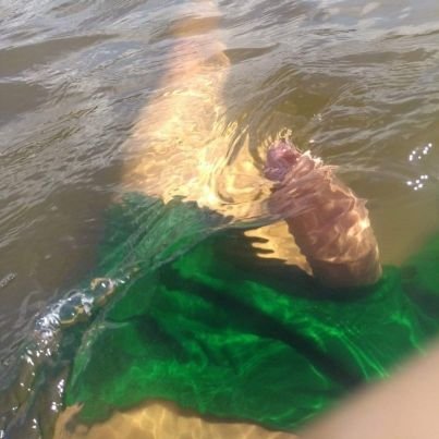 tercerodot's profile picture. 