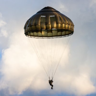 0Parachute0's profile picture. 