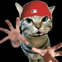 silentbloom666's profile picture. 