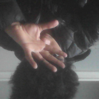 SabalpoudeI's profile picture. 