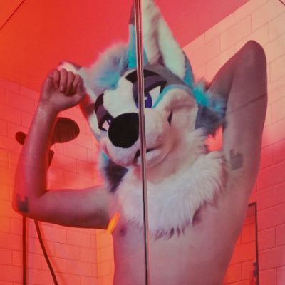 affogato_husky's profile picture. Horny too often 💅 Fruity top™ 🔞 18+ ONLY | Collared 🐶 | @champagne_vixen’s service puppy | Collared and closed