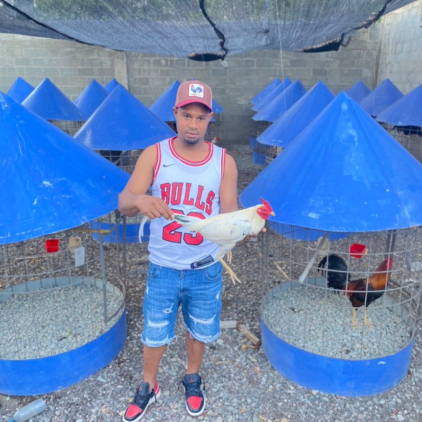 LeodariAlcantar's profile picture. 