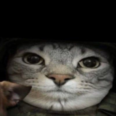 y2k70a's profile picture. 