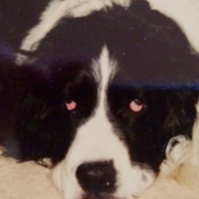 wink5811's profile picture. Mind in a dream, feet tied to the 🌍 , Wanderer, 🚫DM’s ! ? ask via Fed Ex only!