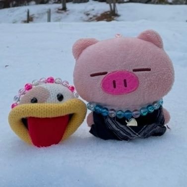 B6NRAQfKxij4wGK's profile picture. こんにちは