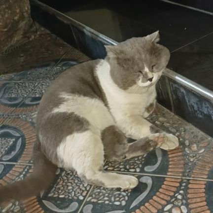 amaramanj's profile picture. Junior school Teacher by Profession 
Freelance Graphic Designer by choice 
Enterpreuner CEO of Handmade startup
https://t.co/7twh8jW5fF