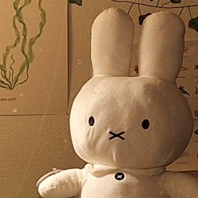 eggboyo_o's profile picture. | 20 | Just some dude | he/him | ˚˖𓍢ִ໋🦈˚𐙚˖ |               sw: high T^T | gw: 65 kg | ugw:55 kg | dni under 18 |