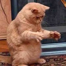 cyj_1709's profile picture. 💚@GOT7 💚 영재 ❶❼ | 🅢🅔🅟 | ❶❾❾❽ ♍️ @ChoiArs_YJ