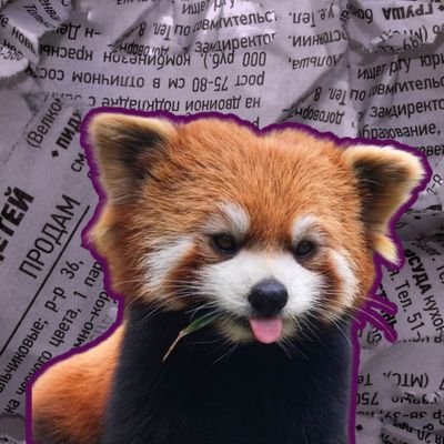 him_cool_'s profile picture. 11 Bravo | Big Queens |🇺🇲 Direct communicator | Heat Fan